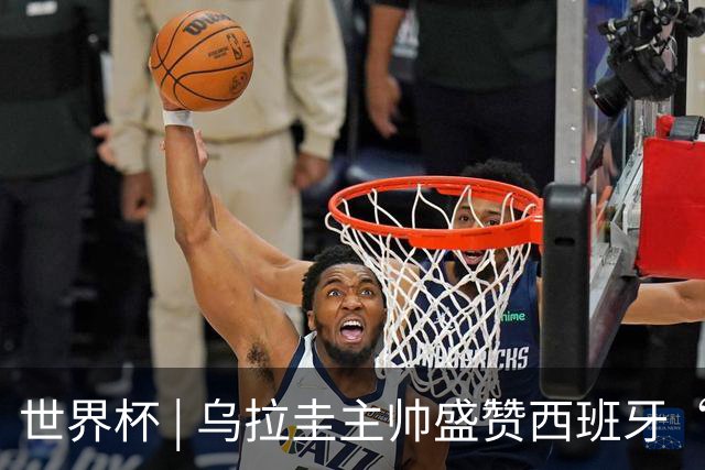 世界杯 | 乌拉圭主帅盛赞西班牙“精致足球”